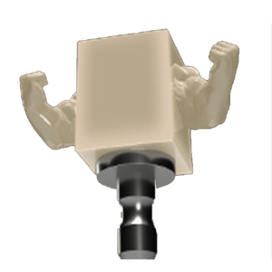 Grandio blocs muscles transparent