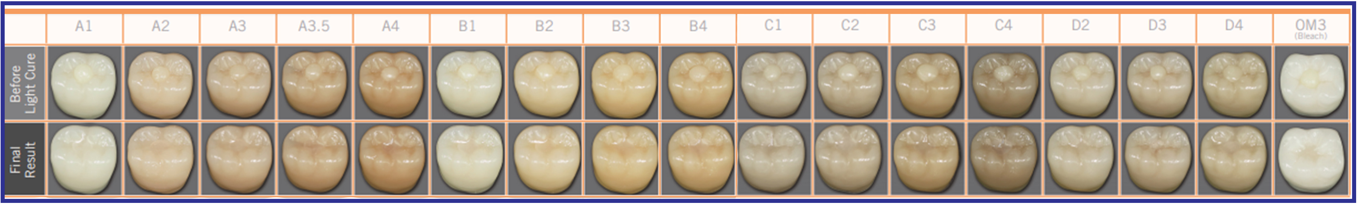 AFX Teeth Long Border