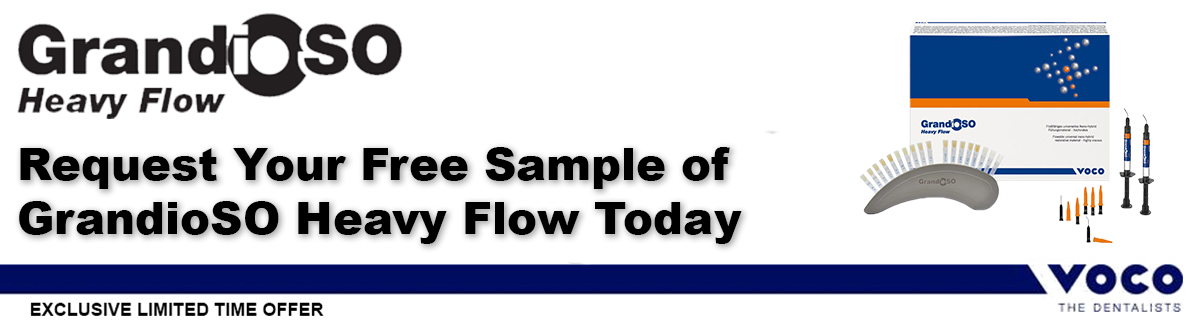 GSOHF Banner