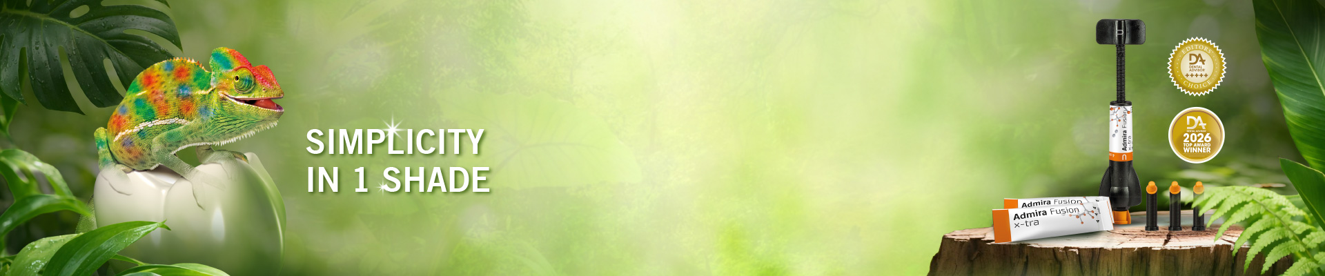 Simplicity in 1 Shade