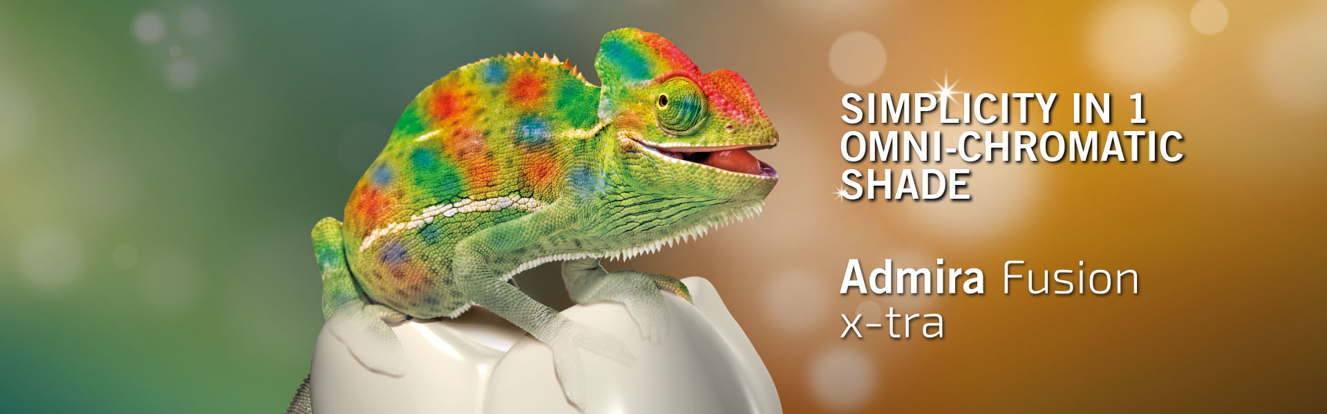 VC_homepage-slides_1920x600-AF-xtrajpg